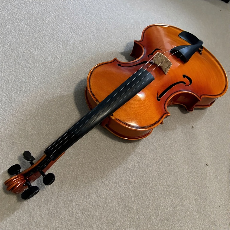 Violin String